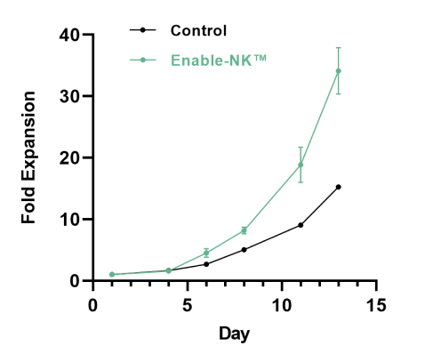 Increased proliferation